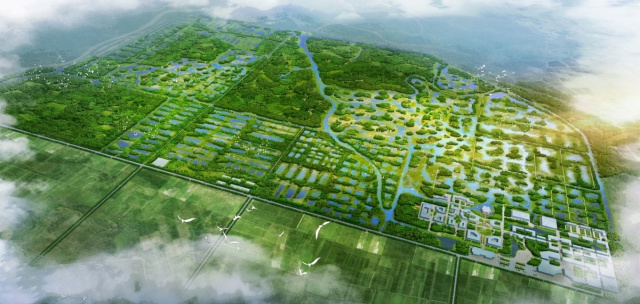 人与自然的共处之地·海南三江红树林湿地公园方案设计