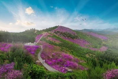 紫云岭森林公园总体规划