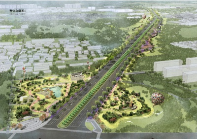 陌上花开，绘绿城 ——保定市东三环绿化建设项目