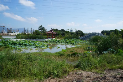 莆田绶溪公园景观设计