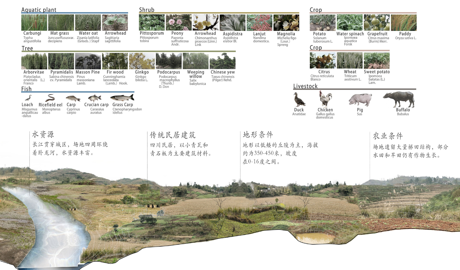 图4场地动植物资源分析（作者自绘）.png