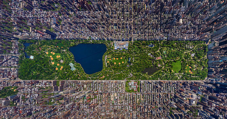 纽约中央公园.jpg