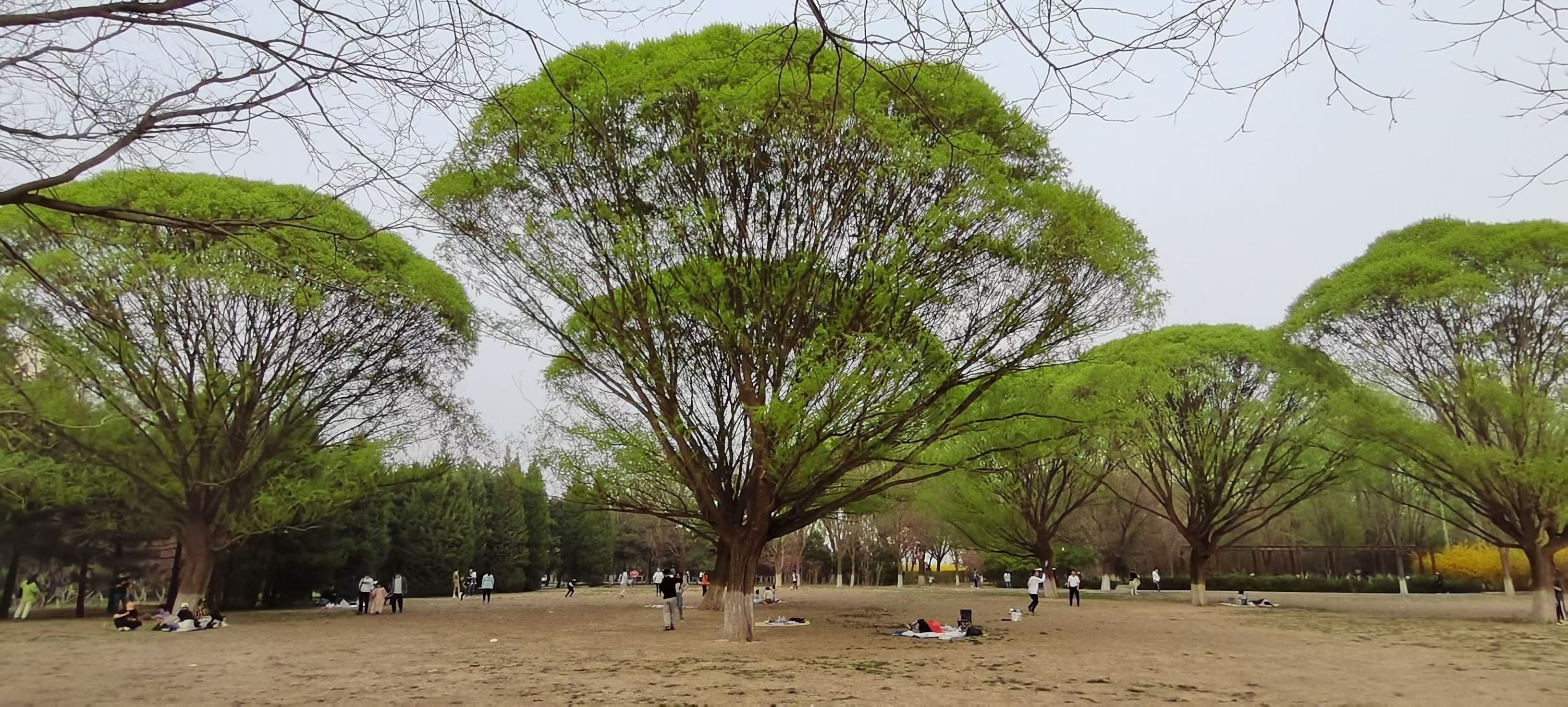 北京奥森公园景观.jpg