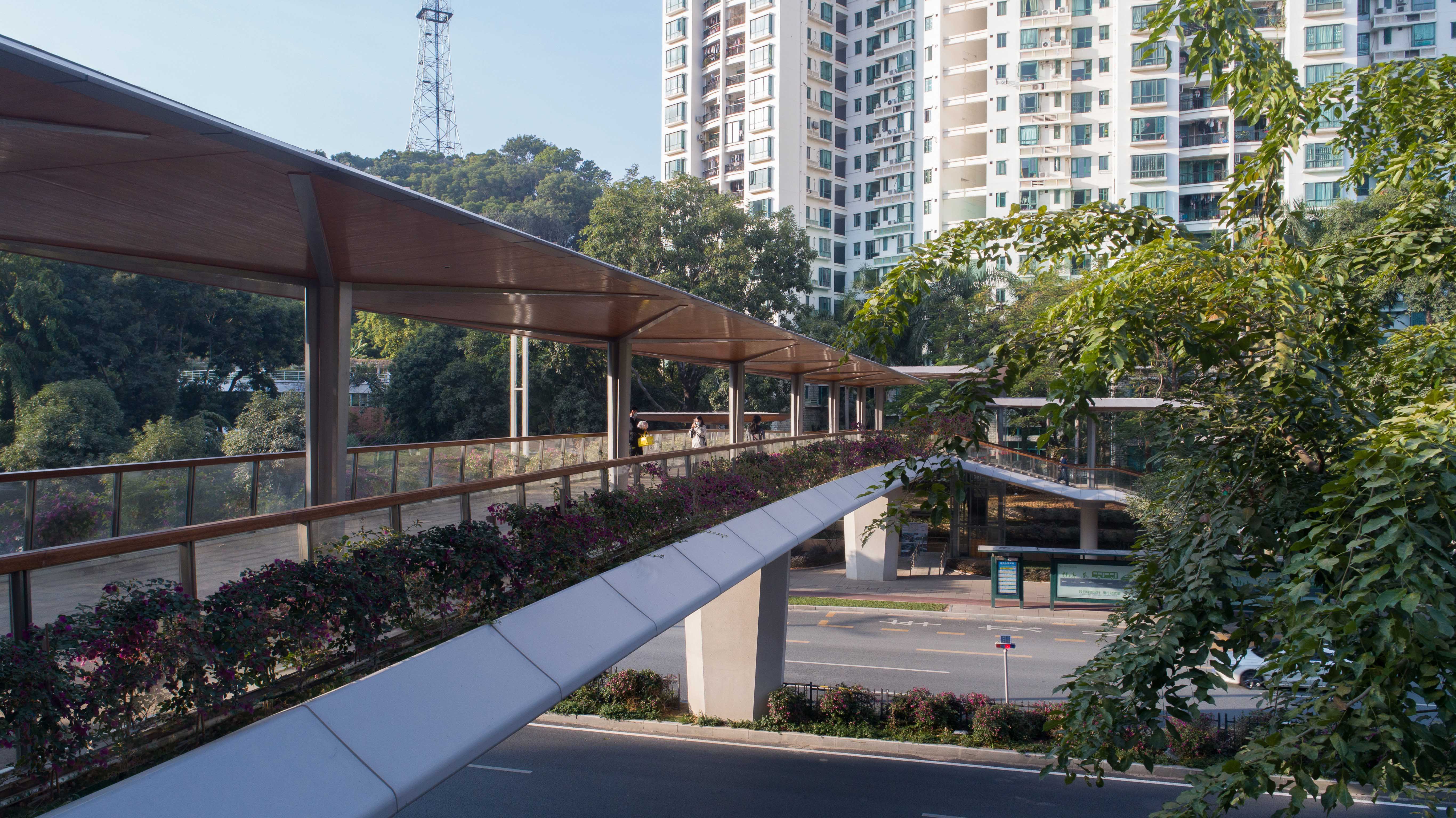 扶手及绿化带A green belt & the handrail.jpg