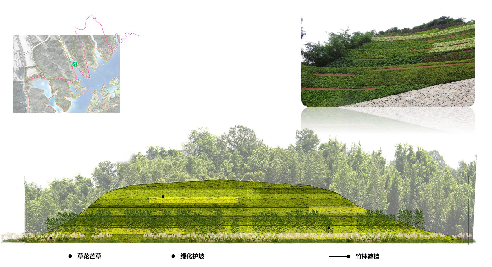 护坡绿化4立面图.jpg